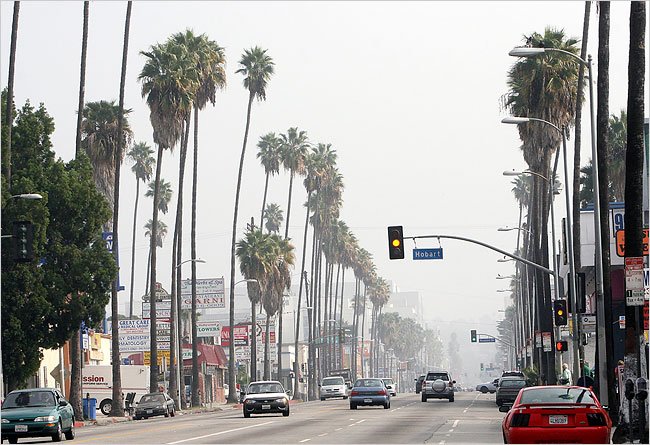 palms west los angeles lockdown friday january 12